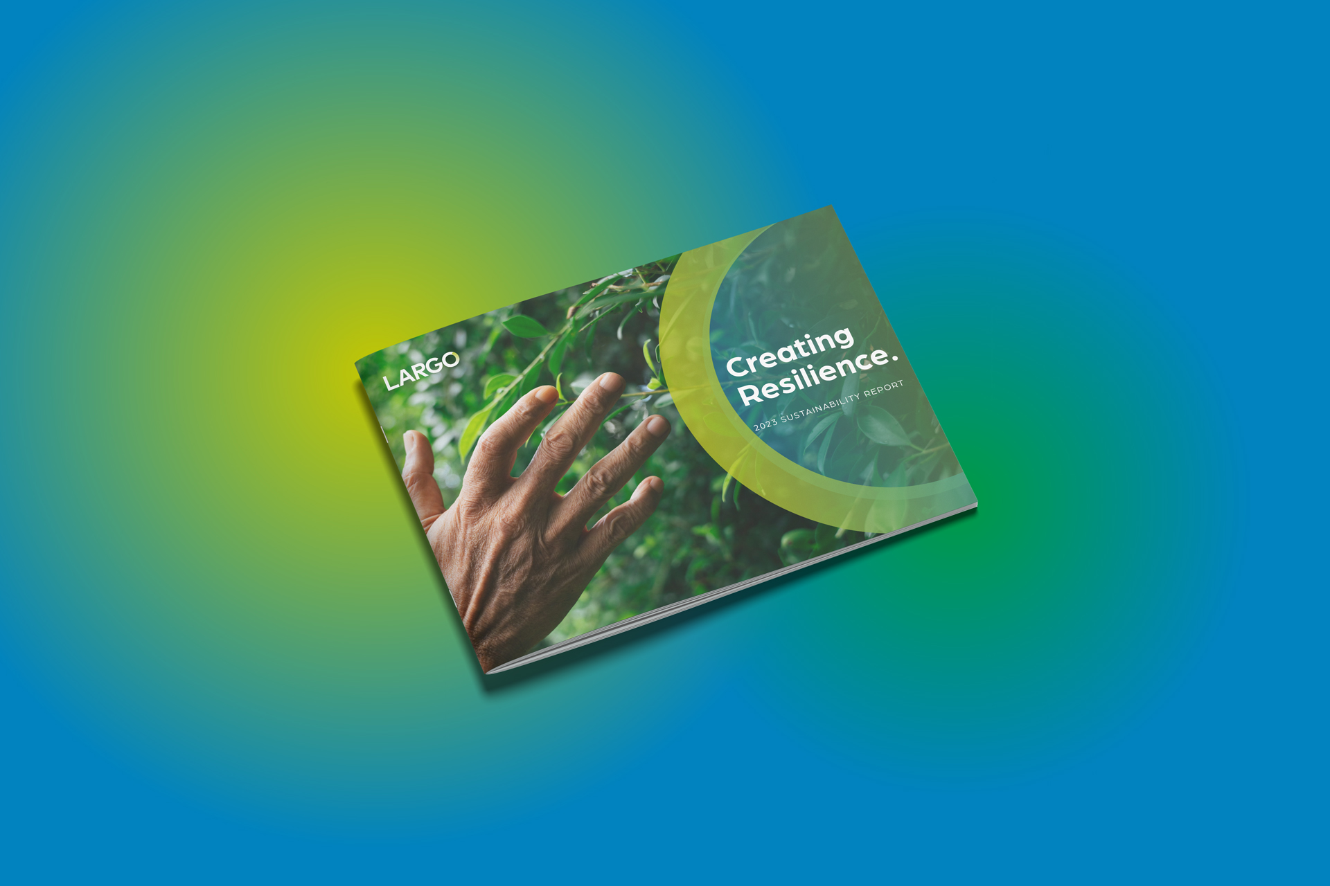 Largo Industries Annual Report Cover