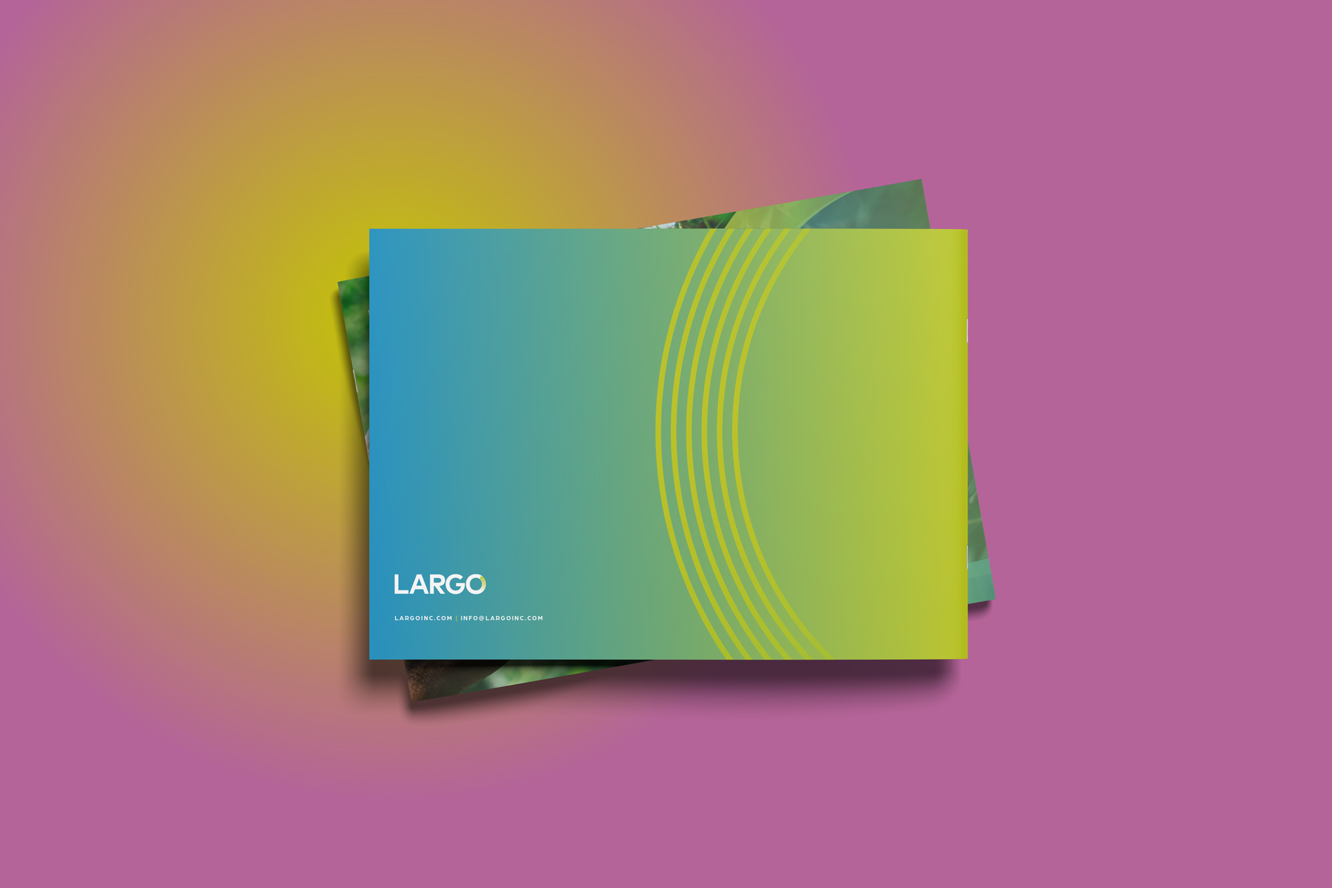 Largo Industries Annual Report cover